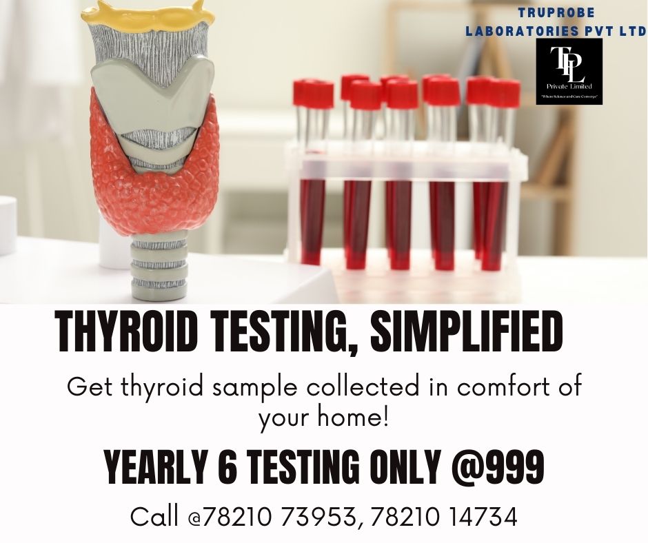 Thyroid Testing Yearly Package